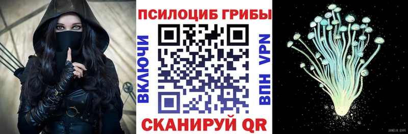 Галлюциногенные грибы Cubensis  Курлово 